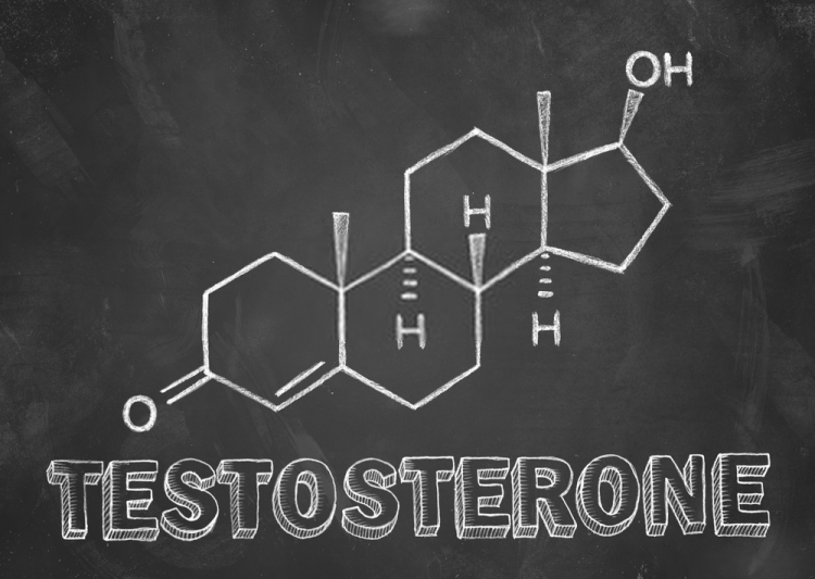 Nếu thiếu Testosterone sẽ khiến cơ thể mất đi sự ham muốn