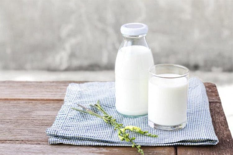 Sữa là nguồn cung cấp protein tuyệt vời