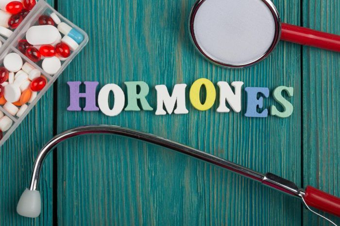 Hormon trong cơ thể đóng vai trò rất quan trọng và không thể thiếu